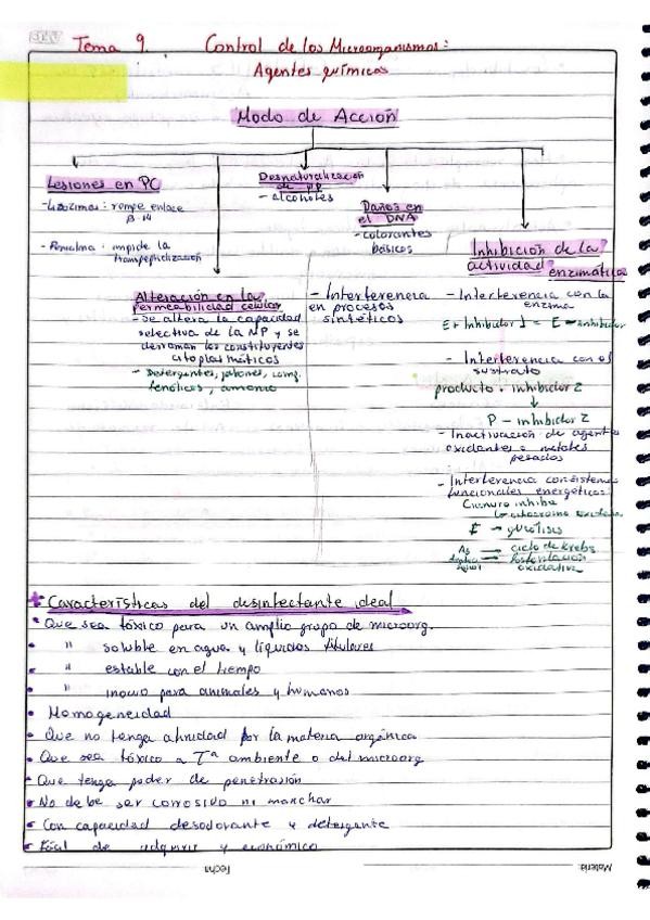 Miniatura del documento MicrobioTema9.pdf