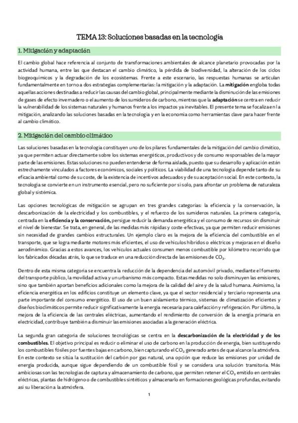 Miniatura del documento tema-13-impacto.pdf