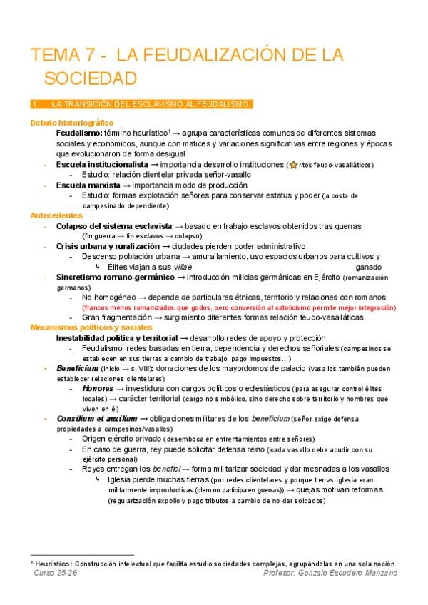Miniatura del documento TEMA-7-LA-FEUDALIZACION-DE-LA-SOCIEDAD.pdf