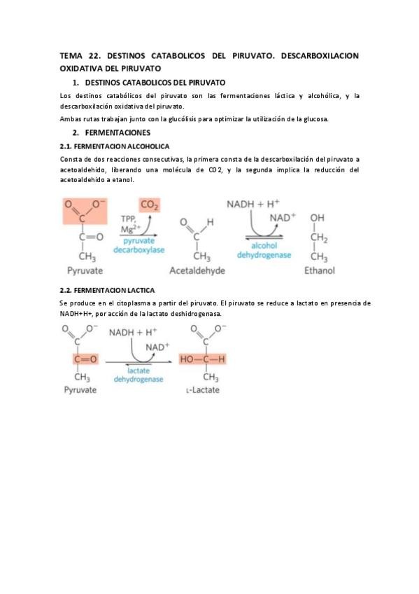 Miniatura del documento TEMA-22.-Destinos-catabolicos-del-piruvato.pdf