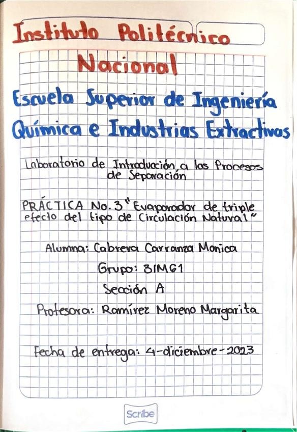 Miniatura del documento P3-IPS.pdf