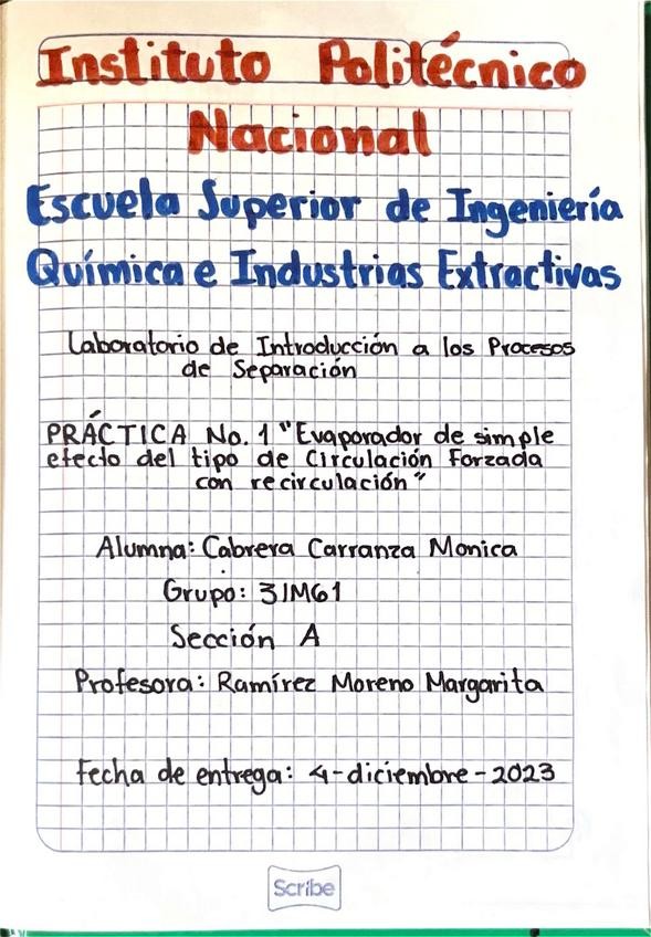 Miniatura del documento P1-IPS.pdf
