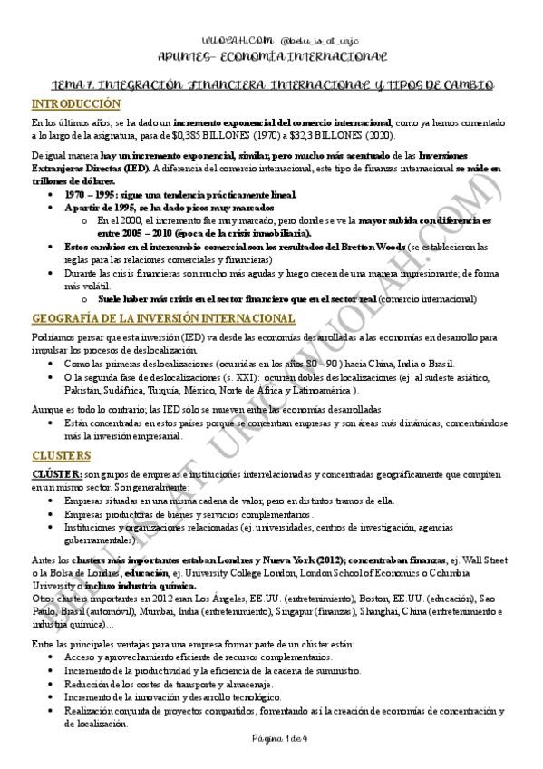 Miniatura del documento TEMA 7. INTEGRACIÓN FINANCIERA INTERNACIONAL Y TIPOS DE CAMBIO - ECONOMÍA INTERNACIONAL..pdf