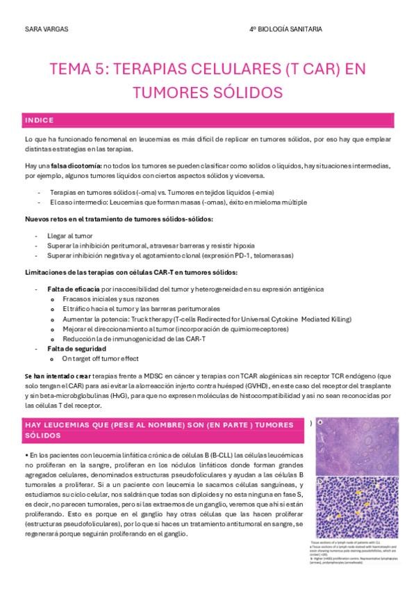 Miniatura del documento tema-5-terapias-celulares-con-tumores-solidos.pdf