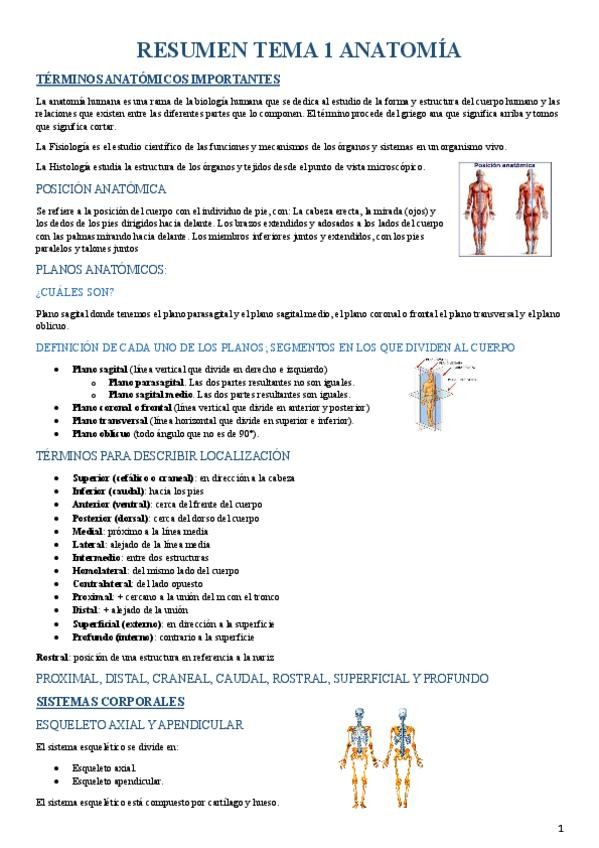 Miniatura del documento RESUMEN-T1-ANATOMIA.pdf