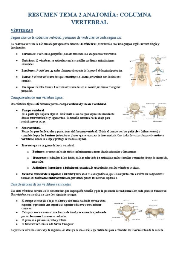 Miniatura del documento RESUMEN-T2-ANATOMIA.pdf
