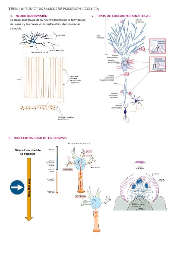 Miniatura del documento Farma-Temas-10-17.pdf