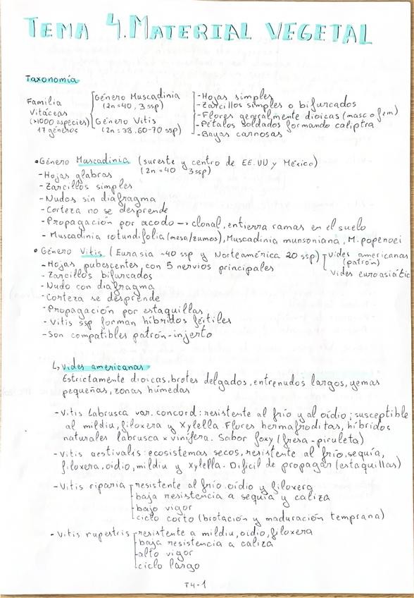 Miniatura del documento Tema-4.Material-vegetal.pdf