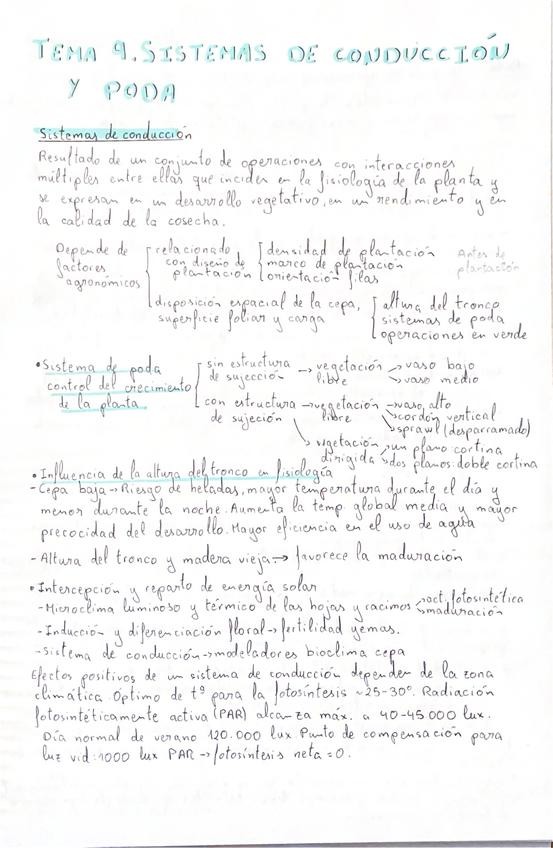 Miniatura del documento Tema-9.Sistemas-de-conduccion-y-poda.pdf