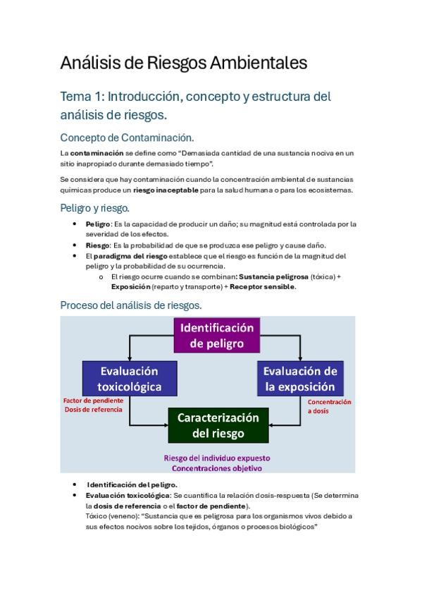 Miniatura del documento Apuntes-completos.pdf