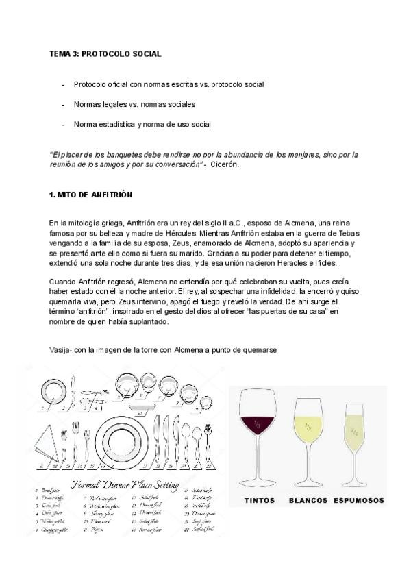 Miniatura del documento TEMA-3-PROTOCOLO-SOCIAL.pdf