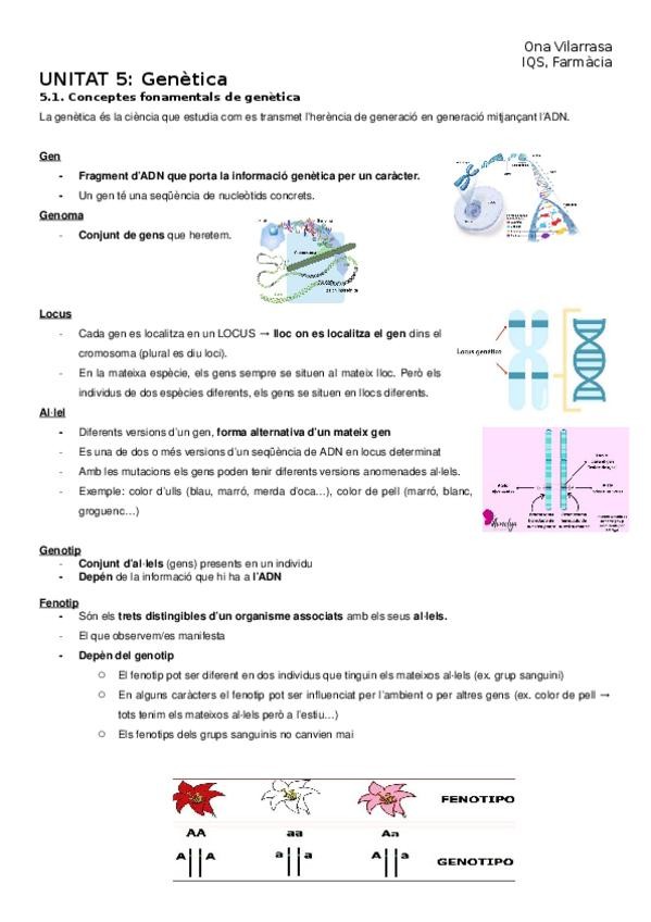 Miniatura del documento UNITAT-5-genetica.docx