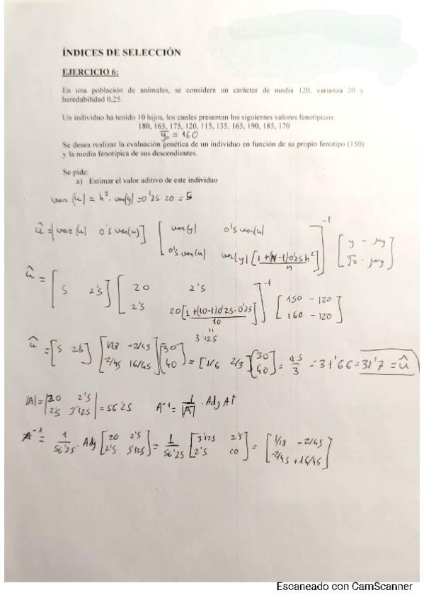 Miniatura del documento Ejercicio-6-Resuelto.pdf