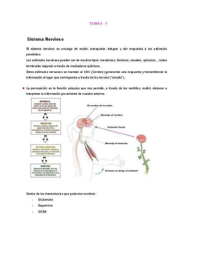 Miniatura del documento Tema-6-y7.pdf
