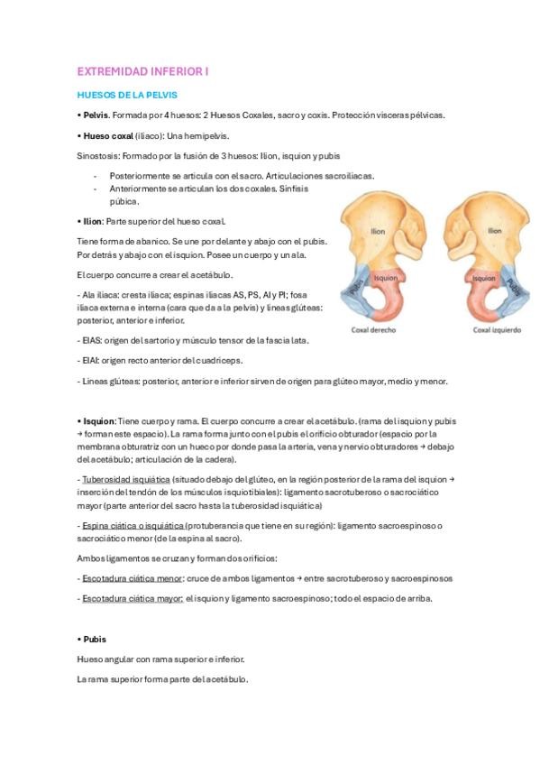Miniatura del documento Mmii-1.pdf