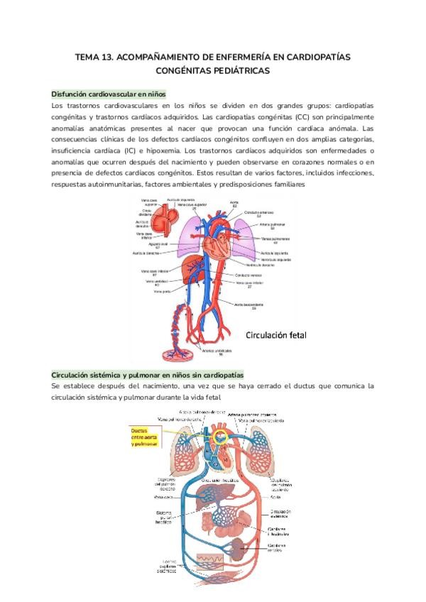 Miniatura del documento TEMA-13.-Enf-de-la-infancia-y-la-adolescencia.pdf