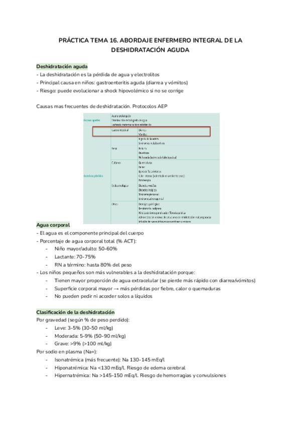 Miniatura del documento PRACTICA-TEMA-16.-ENF-DE-LA-INFANCIA.pdf