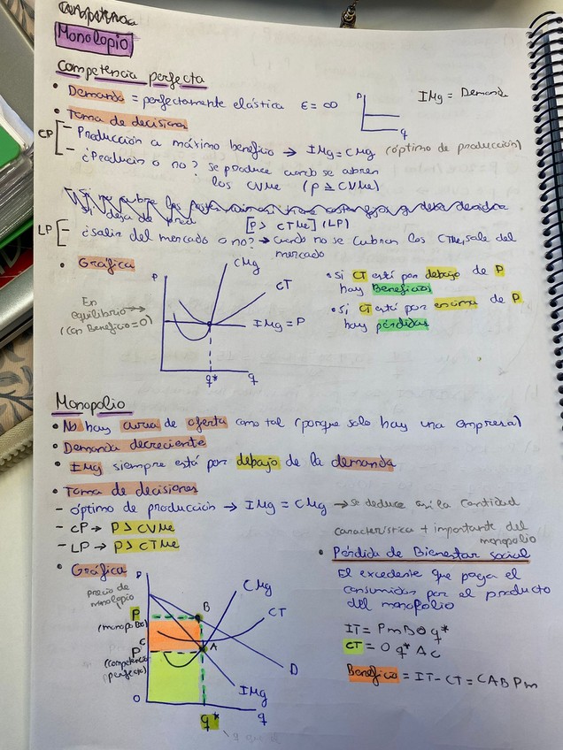 Miniatura del documento WhatsApp-Image-2026-01-09-at-10.03.39-4.jpeg