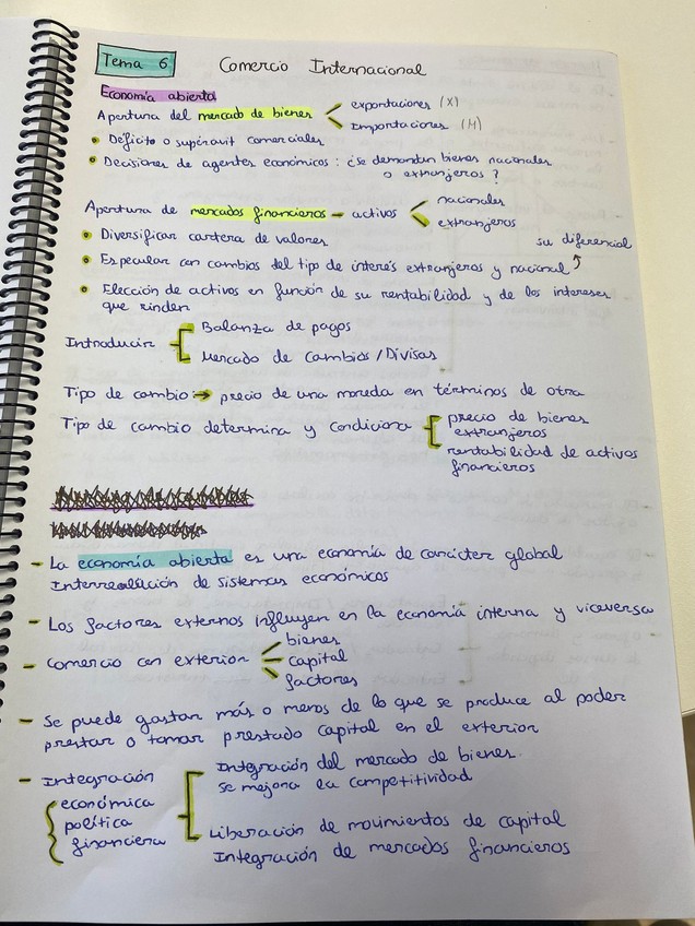 Miniatura del documento WhatsApp-Image-2026-01-09-at-10.11.49-2.jpeg