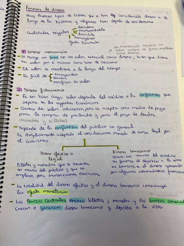 Miniatura del documento WhatsApp-Image-2026-01-09-at-10.11.50-5.jpeg