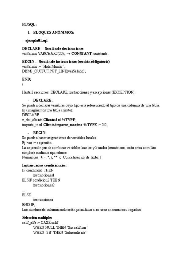 Miniatura del documento PLSQL.pdf