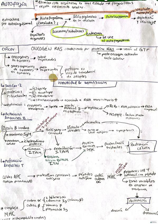 Miniatura del documento Extra.pdf