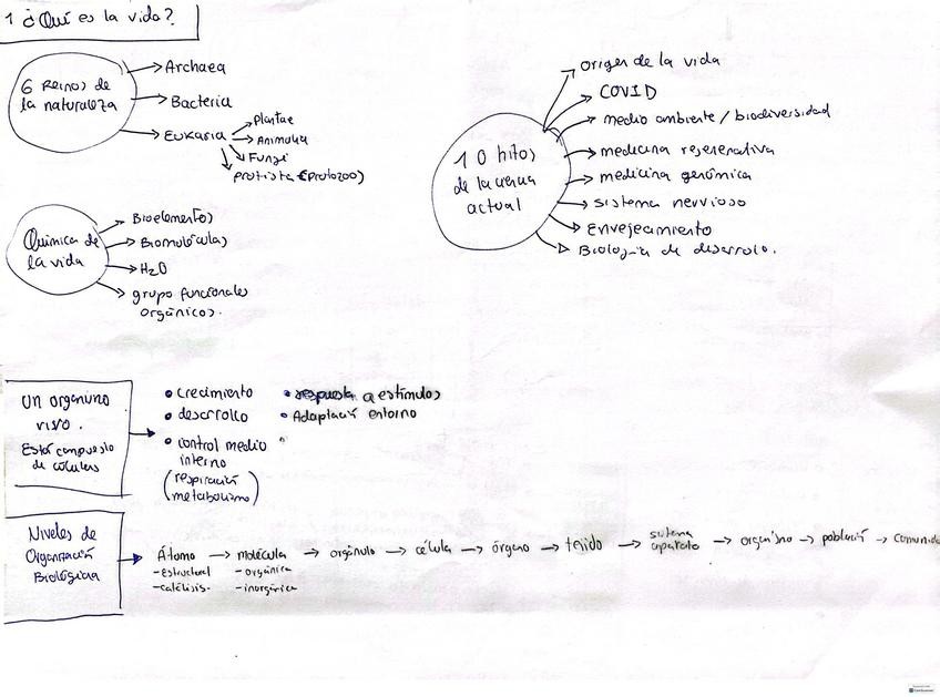 Miniatura del documento 1.-Que-es-la-vida.pdf