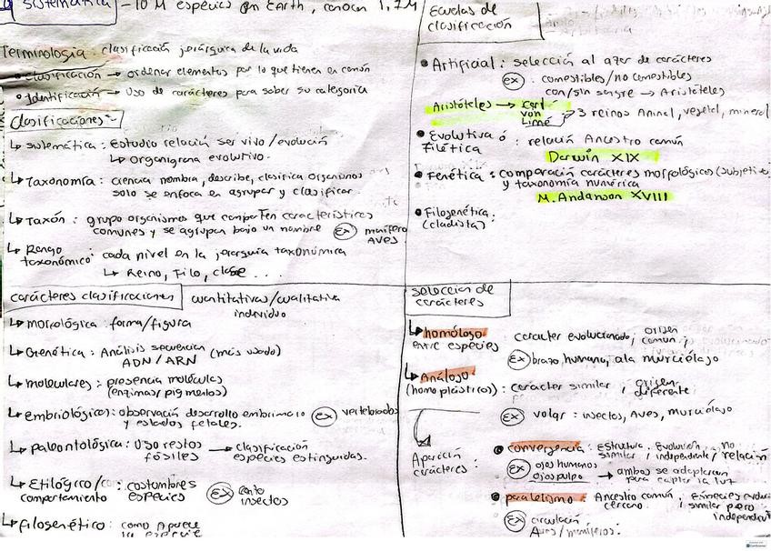 Miniatura del documento 9.-Sistematica.pdf