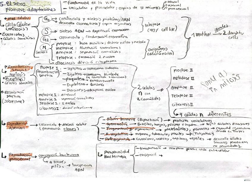 Miniatura del documento 5.-Sexo-promueve-adaptaciones.pdf