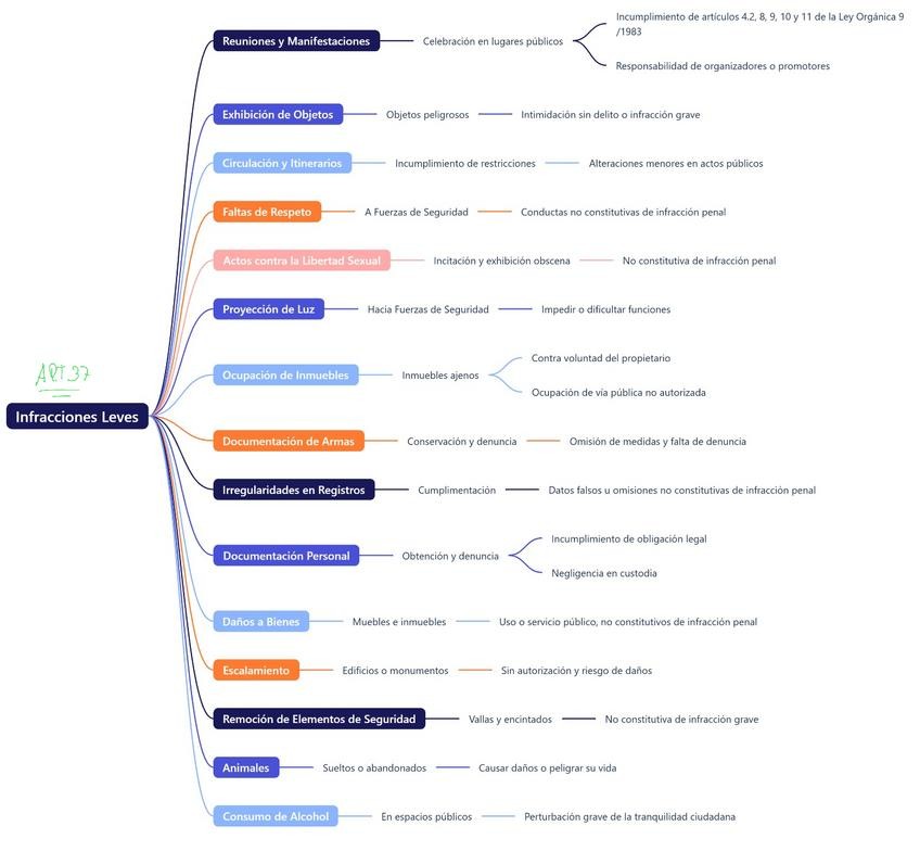 Miniatura del documento INFRACCIONES-LEVES-ART37.pdf