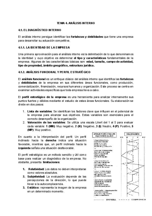 Miniatura del documento TEMA-4.-ANALISIS-INTERNO.pdf