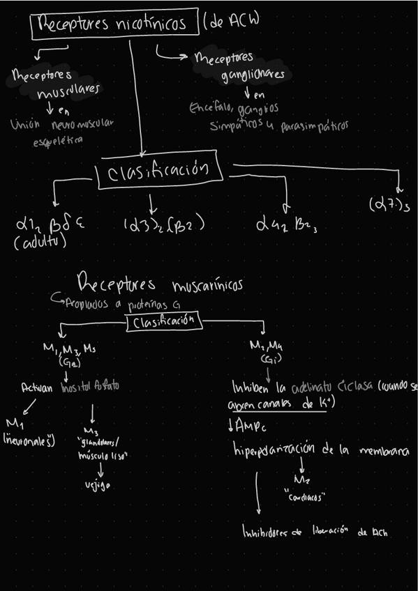Miniatura del documento Receptores-del-Sistema-Nervioso-Central.pdf