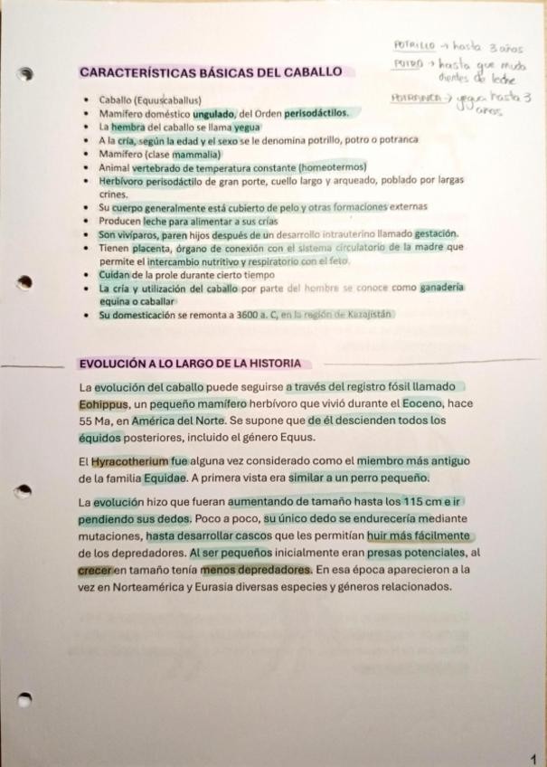 Miniatura del documento TEMA-1-RECRIA-MORFOLOGIA-DEL-CABALLO-TORRES-VILLARROEL-SALAMANCA.pdf