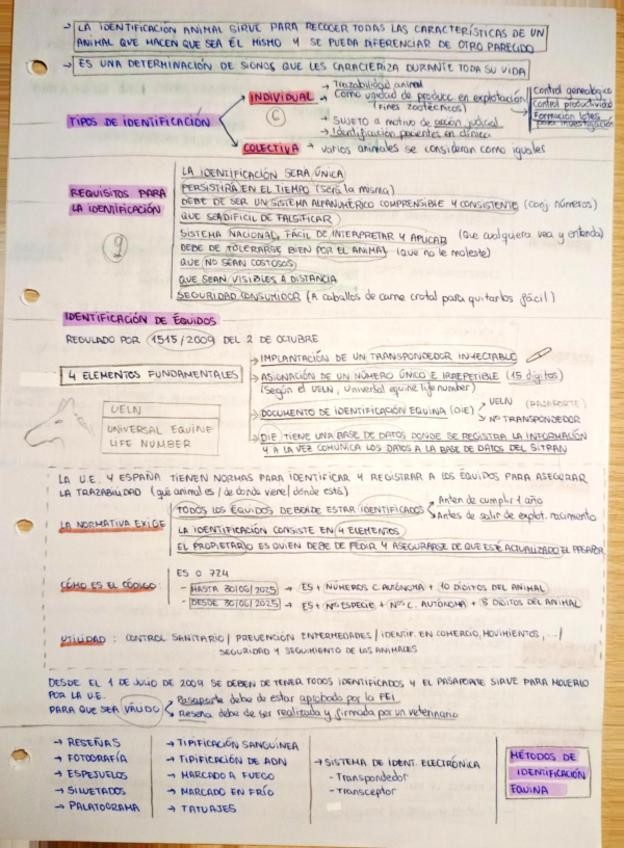 Miniatura del documento TEMA-3-RECRIA-IDENTIFICACION-EQUINA-TORRES-VILLARROEL-SALAMANCA.pdf