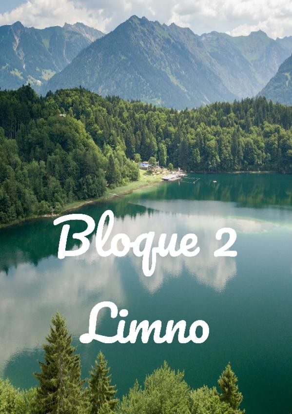 Miniatura del documento Loles.pdf