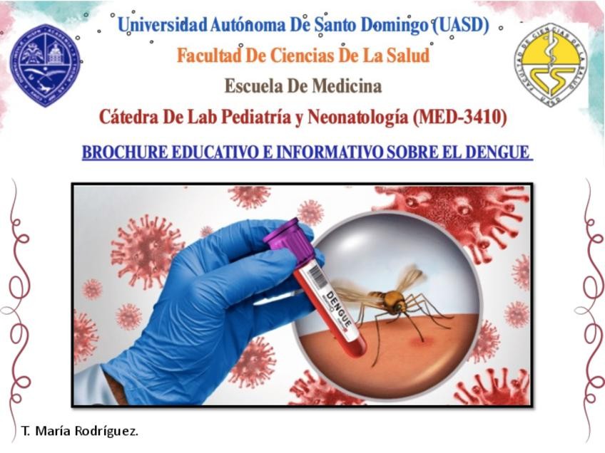 Miniatura del documento Brochure-informativo-sobre-el-dengue.pdf