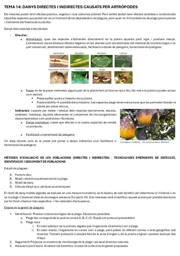 Miniatura del documento Apunts-T14-16.pdf