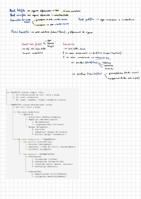 Miniatura del documento Conceptos251117103317.pdf