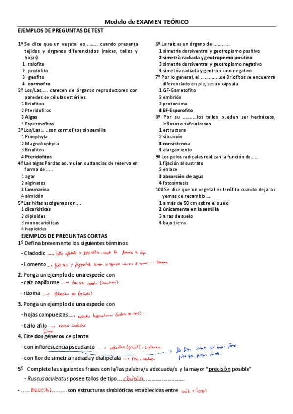 Miniatura del documento Ejemplo-examen-teorico251210181804.pdf