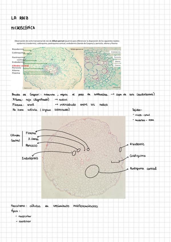Miniatura del documento 6251125194225.pdf