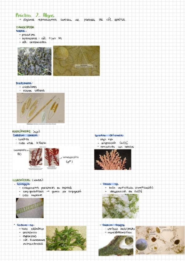 Miniatura del documento 2251124173239.pdf