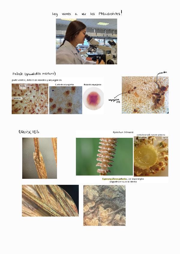 Miniatura del documento 5251125192622.pdf