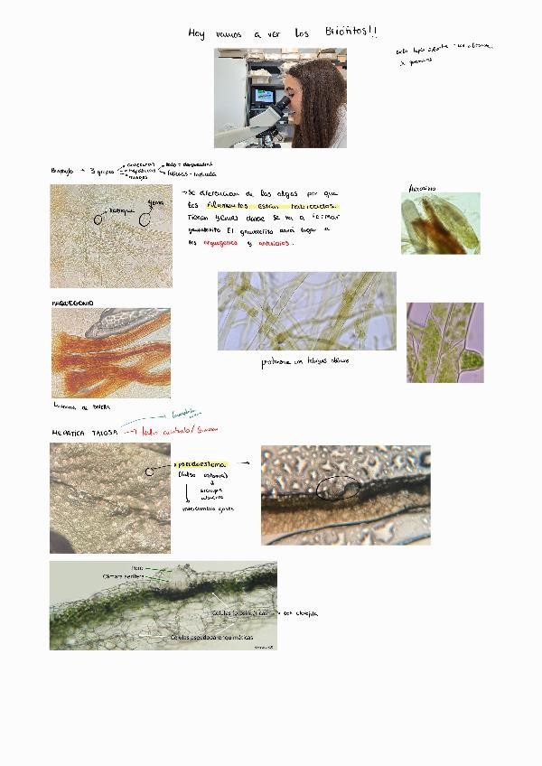 Miniatura del documento 4251125191810.pdf
