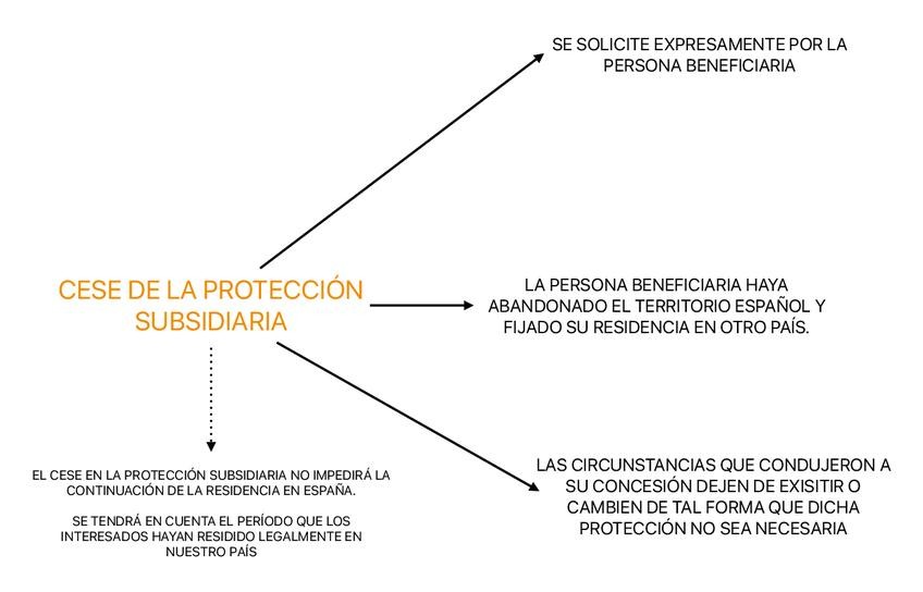 Miniatura del documento CESE-DE-LA-PROTECCION-SUBSIDIARIA.pdf