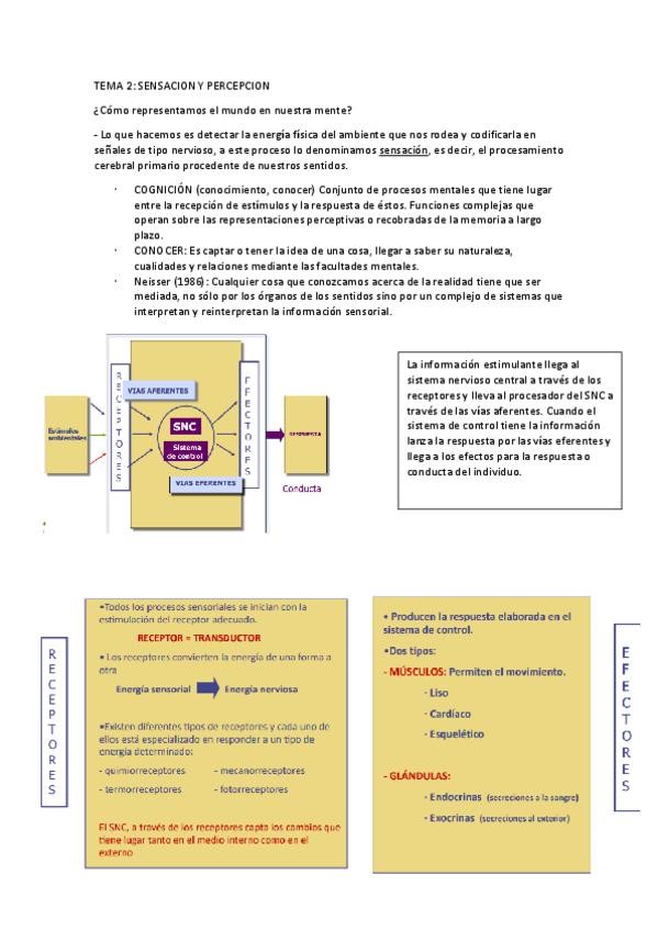 Miniatura del documento Apuntes-tema-2.pdf