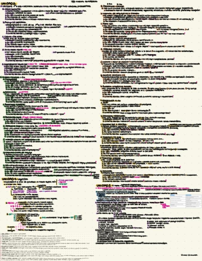 Miniatura del documento INFANCIA-2o-PARCIAL.pdf