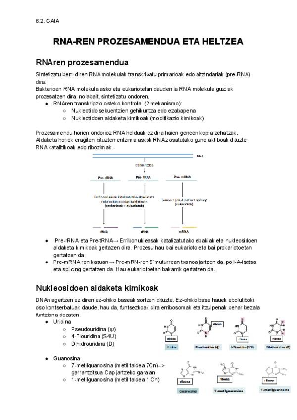 Miniatura del documento 6.2.-GAIA.pdf
