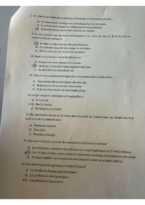 Miniatura del documento examen-pya-enero-y-junio-2025.pdf