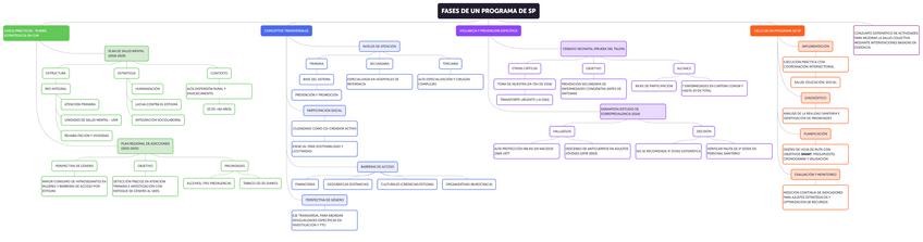 Miniatura del documento 2.2.-fases-programa-sp.pdf