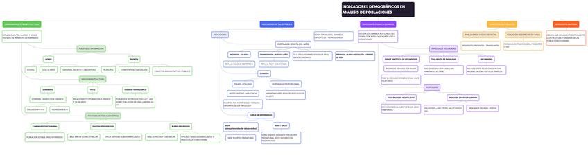 Miniatura del documento 1.4.indicadores-demograficos.pdf